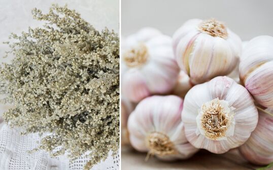 Mugwort and garlic cleanse the body of parasites