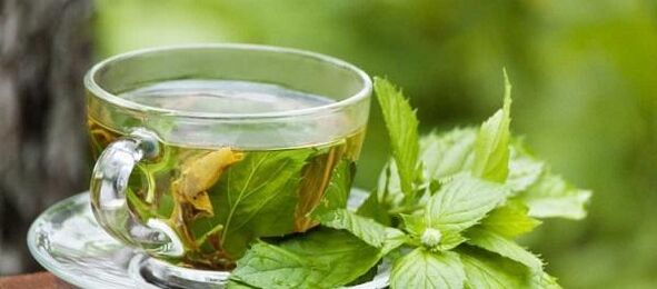 nettle decoction for parasites